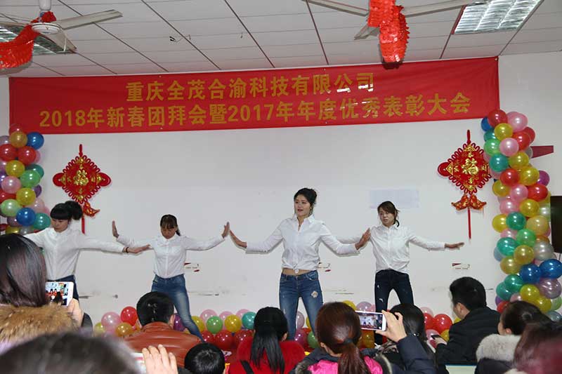 2018年團(tuán)拜會